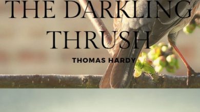 Summary and Analysis of The Darkling Thrush by Thomas Hardy