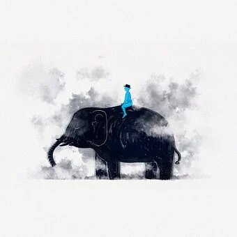 elephant story summary